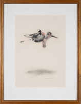 William Kentridge; Untitled (Maribou Stork)