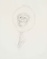 Judith Mason; A Page for an Engen Bestiary - Reflection