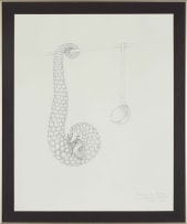 Judith Mason; A Page of an Engen Bestiary - A Pangolin in the Kitchen