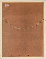Louis Jansen van Vuuren; View of Lion's Head