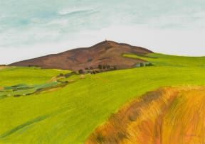 Nico Verboom; The Swartberg near Piketberg