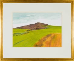 Nico Verboom; The Swartberg near Piketberg