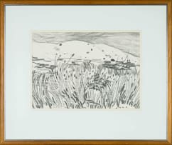 Nico Verboom; Grassy Landscape