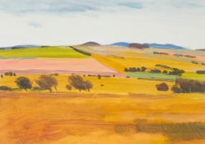 Nico Verboom; Extensive Farm Landscape