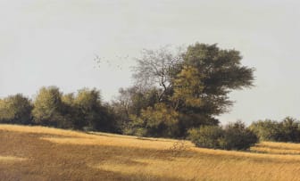 John Meyer; Landscape with Thorn Trees
