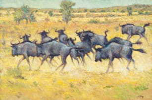 Zakkie Eloff; Wildebeest