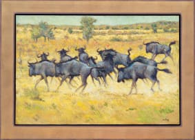 Zakkie Eloff; Wildebeest