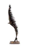Wilfred Delporte; Flight Form