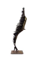 Wilfred Delporte; Flight Form