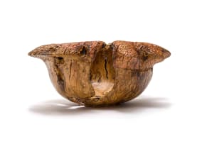 Rodney Band; Wild olive root bowl