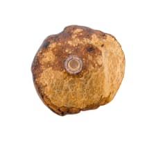Rodney Band; English burr oak bowl