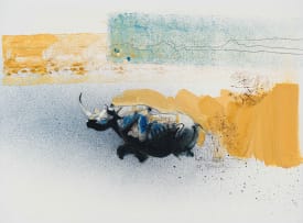Keith Joubert; Rhino