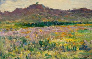 Hugo Naudé; Namakwaland (Namaqualand)