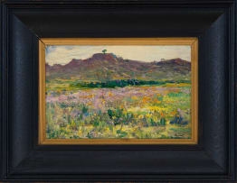 Hugo Naudé; Namakwaland (Namaqualand)