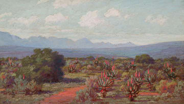 Jan Ernst Abraham Volschenk; The Charms of the Veld (Riversdale)