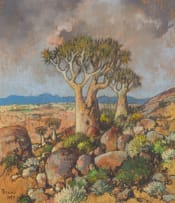 Conrad Theys; Kokerbome, Namakwaland (Fever Trees, Namaqualand)