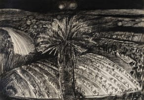 Michael Hallier; Moonlit Cycad in a Landscape