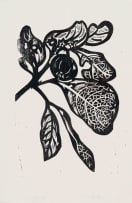 Walter Battiss; Fruit and Leaves