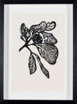 Walter Battiss; Fruit and Leaves