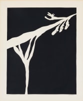 Walter Battiss; Abstract Branch