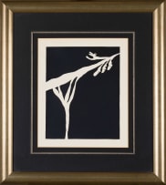 Walter Battiss; Abstract Branch