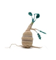 Peta Becker; Sprouting tuber, 2024