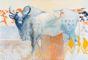 Keith Joubert; Nguni