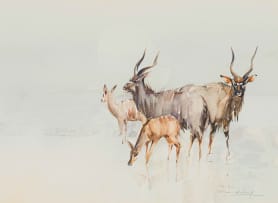 Derric van Rensburg; Kudu