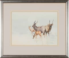 Derric van Rensburg; Kudu