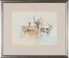 Derric van Rensburg; Waterbuck