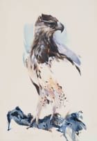 Derric van Rensburg; Martial Eagle