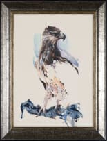 Derric van Rensburg; Martial Eagle