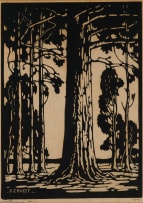 Jacob Hendrik Pierneef; Bloekombome (Blue Gum Trees) (Nilant 76)