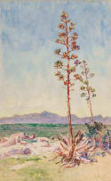 Constance Penstone; A G Miller's Point