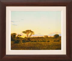 Walter Meyer; Trees and Bushes at Sunset