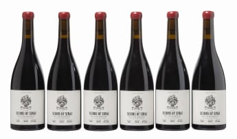 Scions of Sinai; Feniks Pinotage; 2019; 6 (1 x 6); 750ml