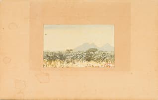 Adolph Jentsch; S W. Afrika