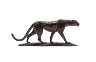 Donald Greig; Cheetah