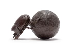 Donald Greig; Dung Beetles, two