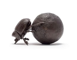 Donald Greig; Dung Beetles, two
