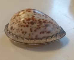 A Cape silver-mounted cowrie shell snuff box, Jacobus Johannes Vos, c.1841-1882