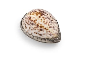 A Cape silver-mounted cowrie shell snuff box, Jacobus Johannes Vos, c.1841-1882