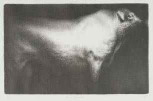 Paul Emsley; Bull (Sussex)