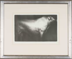 Paul Emsley; Bull (Sussex)