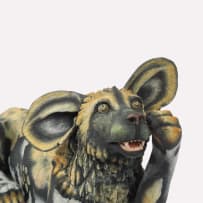 Senzo Ntshalintshali & Siyabonga Mabaso; Wild Dog