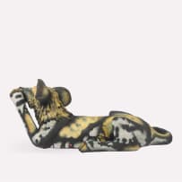 Senzo Ntshalintshali & Siyabonga Mabaso; Wild Dog