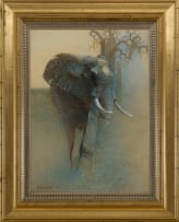 Keith Joubert; Lone Elephant