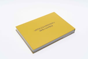 Warren Siebrits; I Invented Myself (Includes Fook Bank Note)