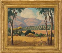 Willem Hermanus Coetzer; Nelspruit TVL