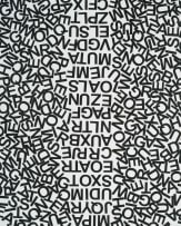 Willem Boshoff; Lost Track II